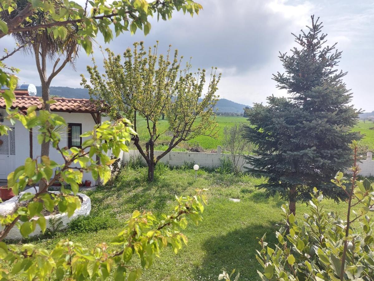 Betahomes- summer Fourka Bagian luar foto