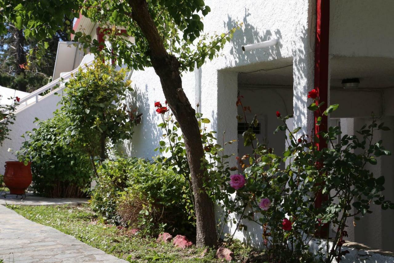 Betahomes- summer Fourka Bagian luar foto